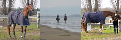 Reggie in Italien 2010