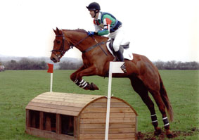 Ardfield Diamond