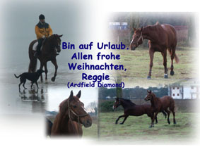 Urlaub in Italien...