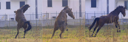 Donnerwetter in Italien 2010