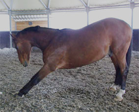 Donnerwetter stretcht