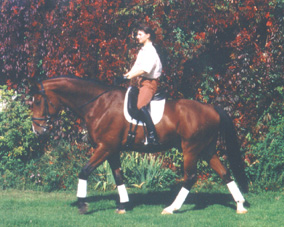 im Schritt - 2001