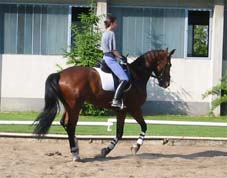 Kontergalopp
