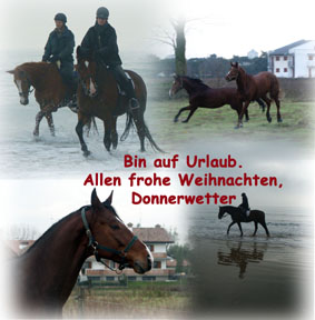 Urlaub in Italien 2005...