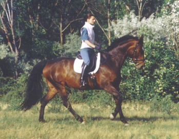 auf der Wiese