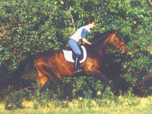 auf der Wiese im Galopp